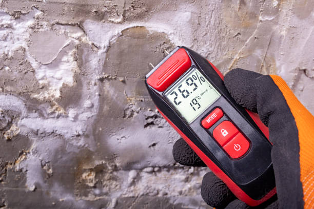 Best Mold Testing and Inspection Services in Bennington, NE